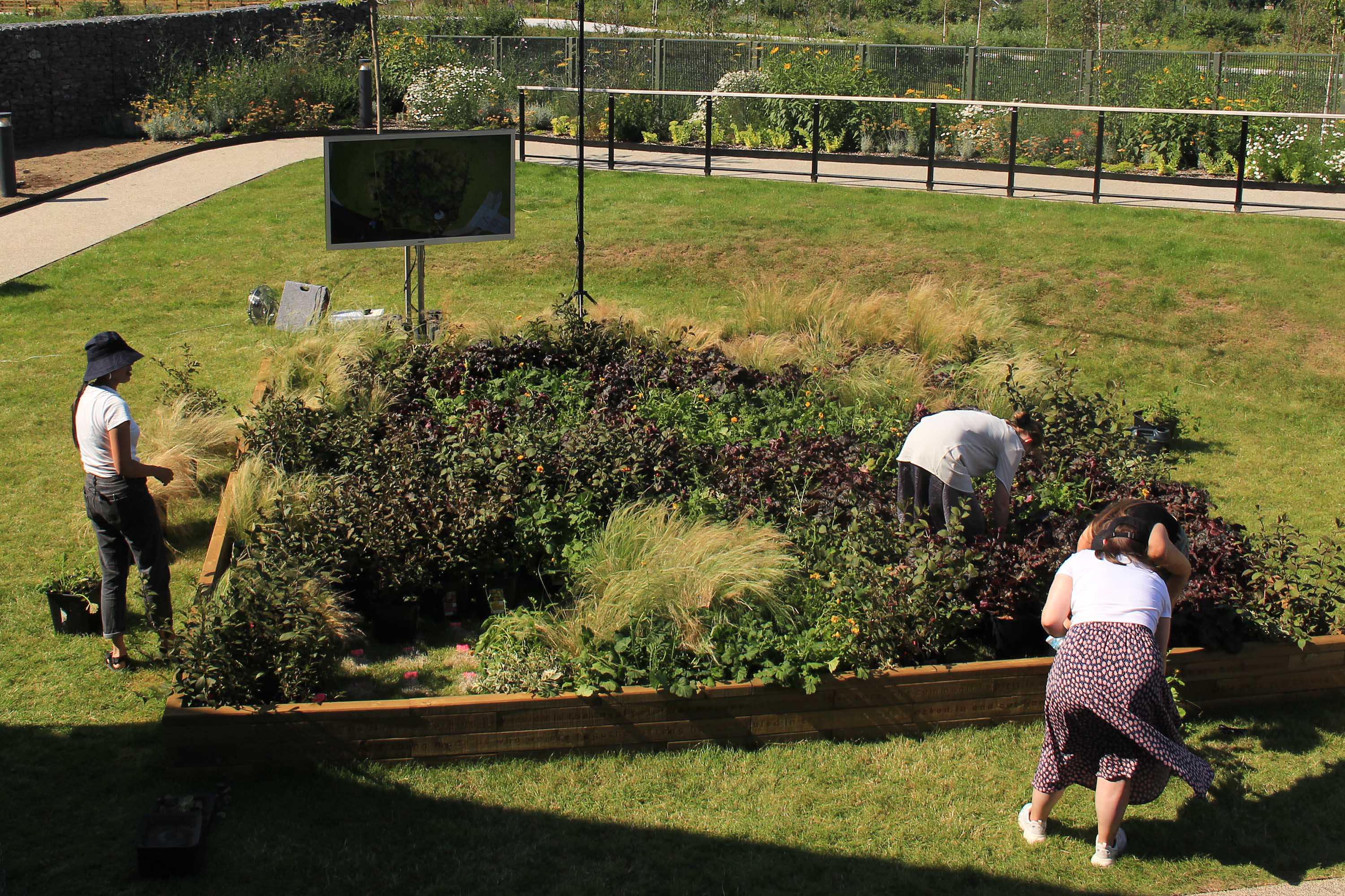 Growing Riversiders, Barking Riverside, London