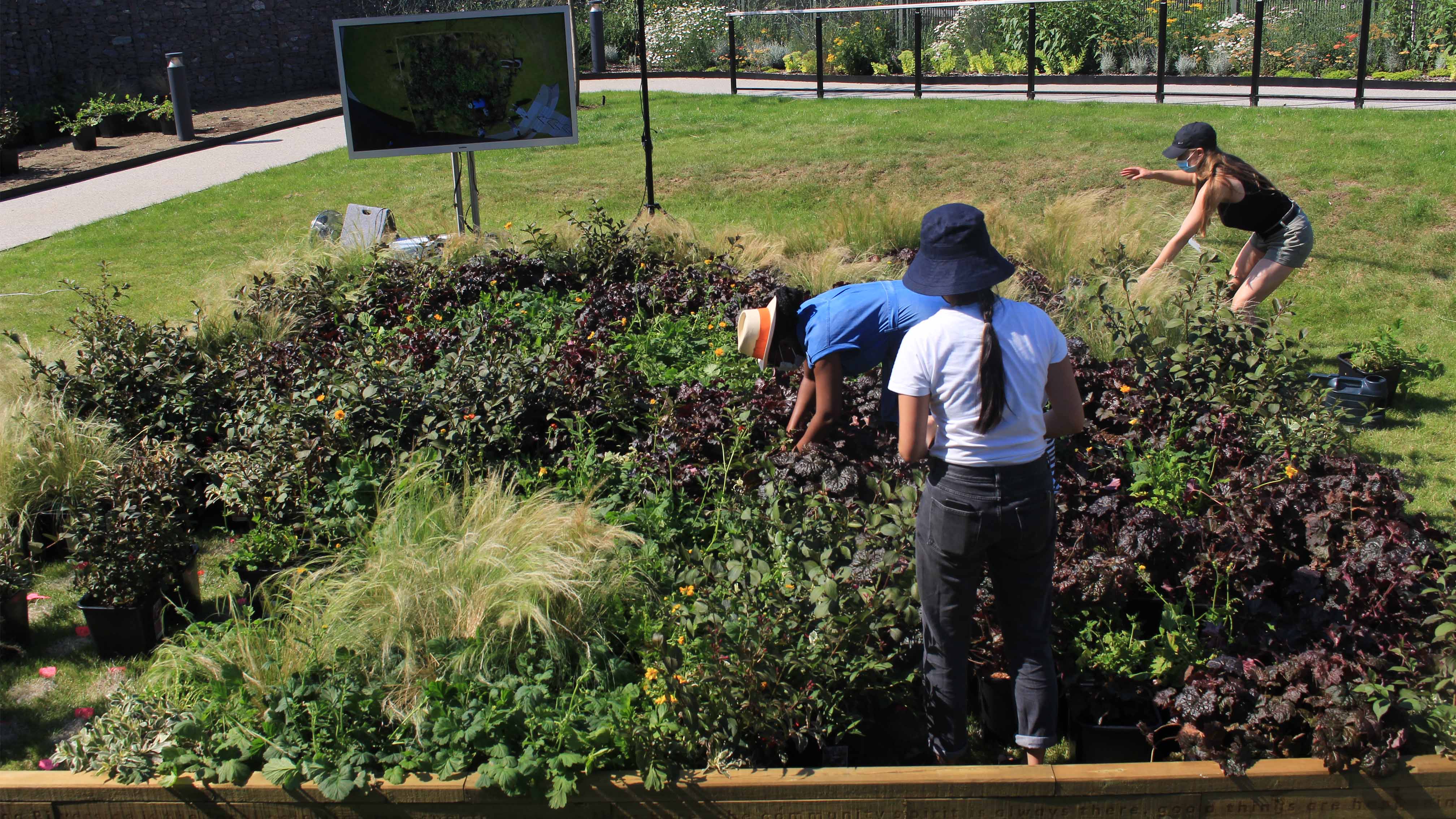 Participants on-site for plant-pixel positioning and installation