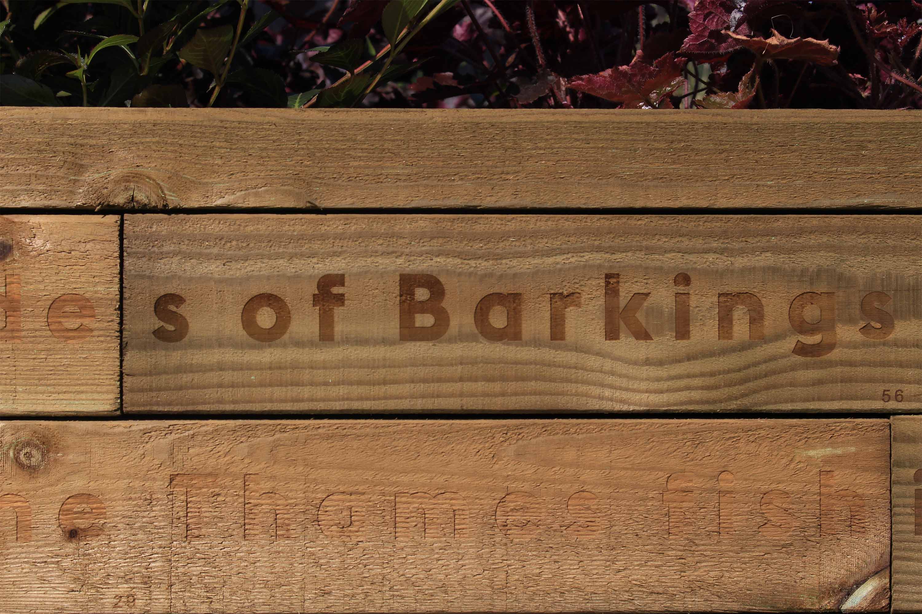 Growing Riversiders, Barking Riverside, London