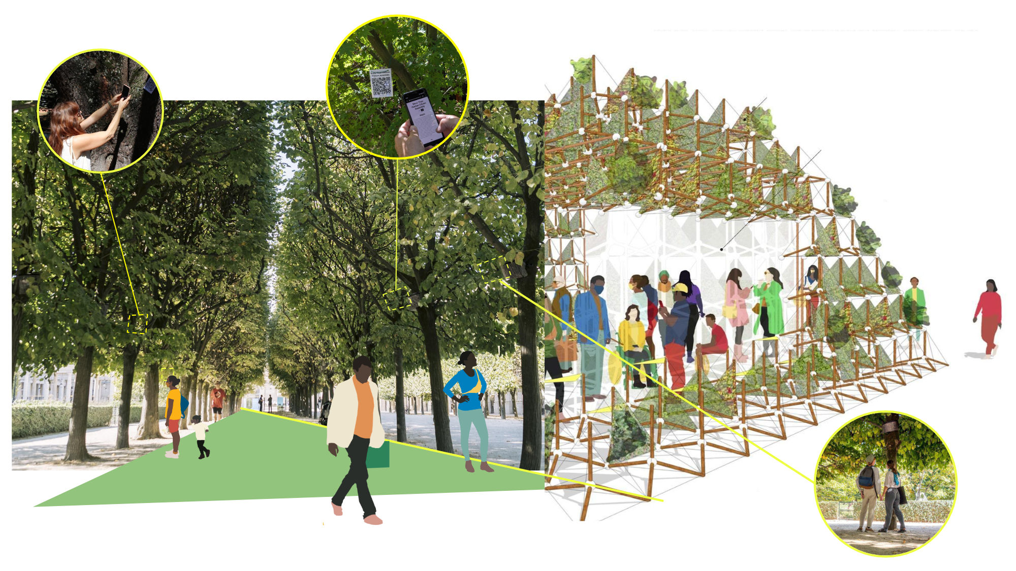Sketch of More-than-Human Citizen Assembly