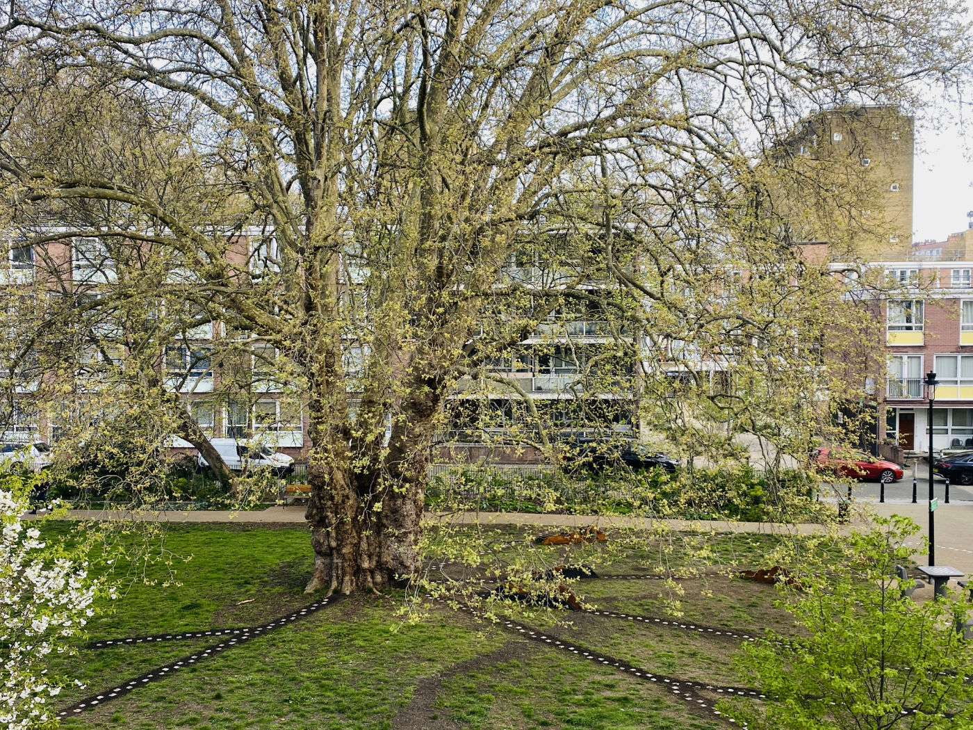 T(h)ree root mounds, cobble sett networks and Story Tree